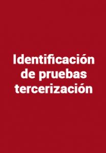 Identificación de pruebas tercerización